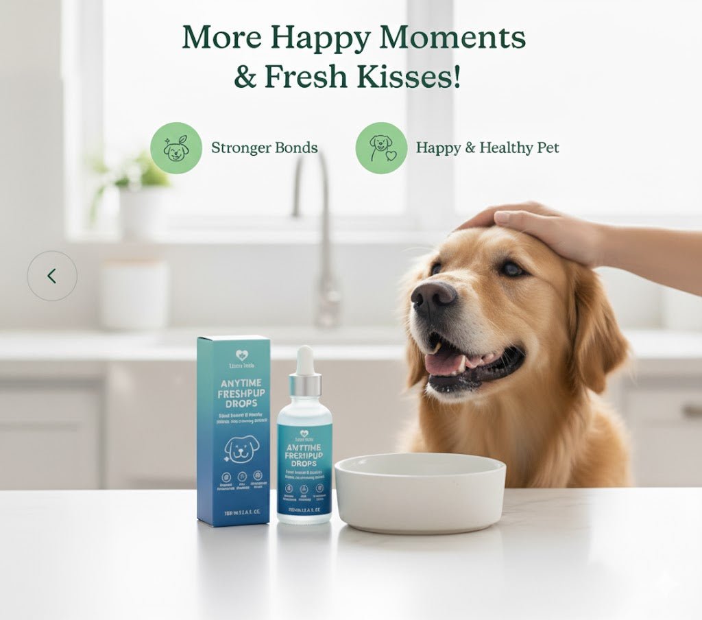 Dog Items - Little Tails