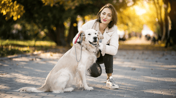 Paws, Love, and Loyalty - Little Tails
