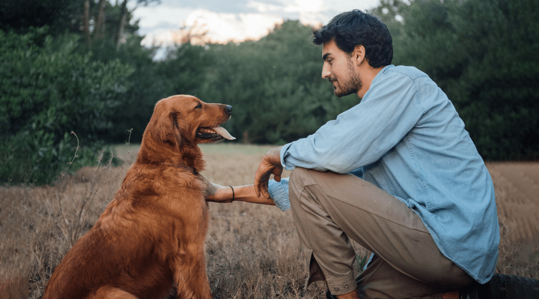 The Ultimate Dog Care Guide - Little Tails