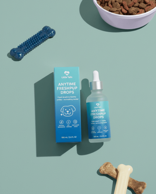 Dog Items - Little Tails