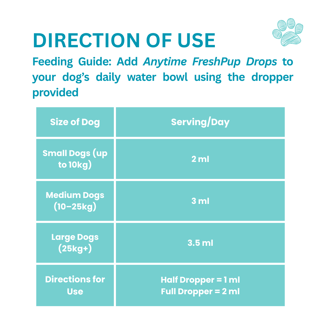 Dog Items - Little Tails