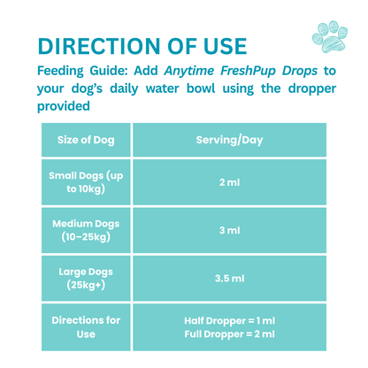 Dog Items - Little Tails