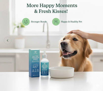 Dog Items - Little Tails